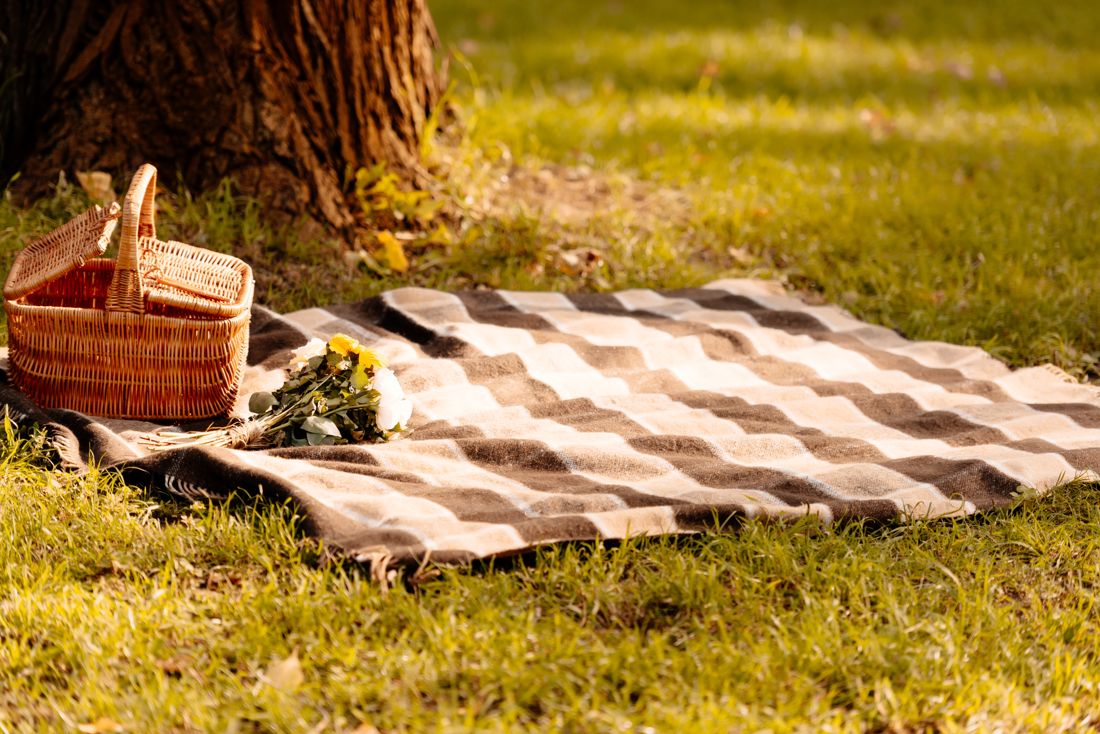 Checkered picnic blanket with basket and flowers under a tree